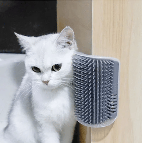 Corner Self Grooming Brush