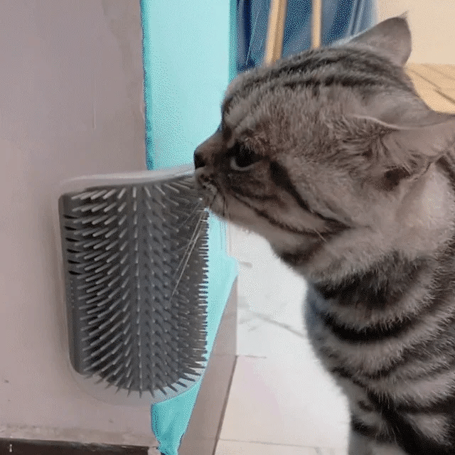 Corner Self Grooming Brush